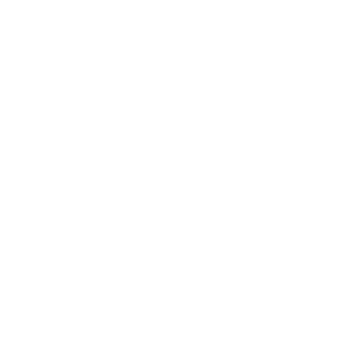 weißes wishbase (R) - Logo